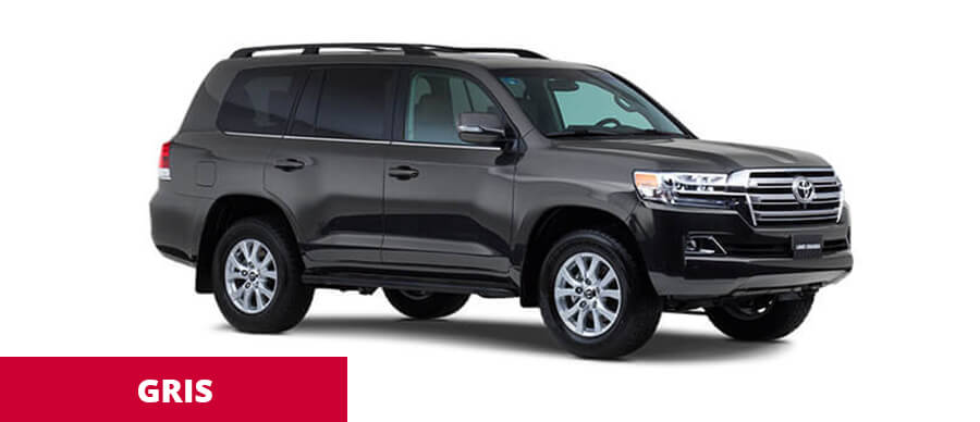 Land Cruiser Gris